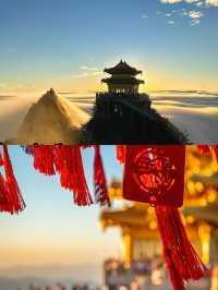 沒有人在意，卻非常努力！