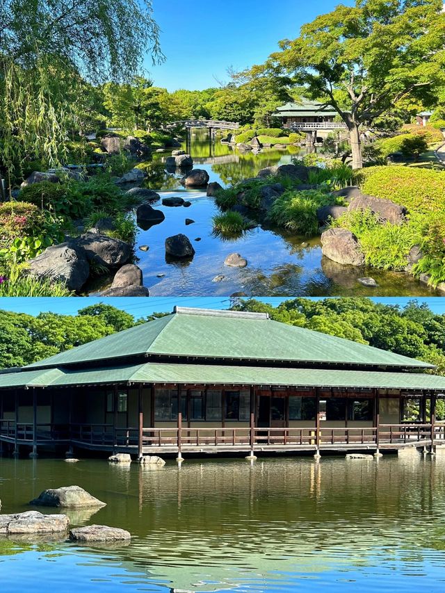 日本小眾寶藏地｜藏在大阪旁的千年古都堺市
