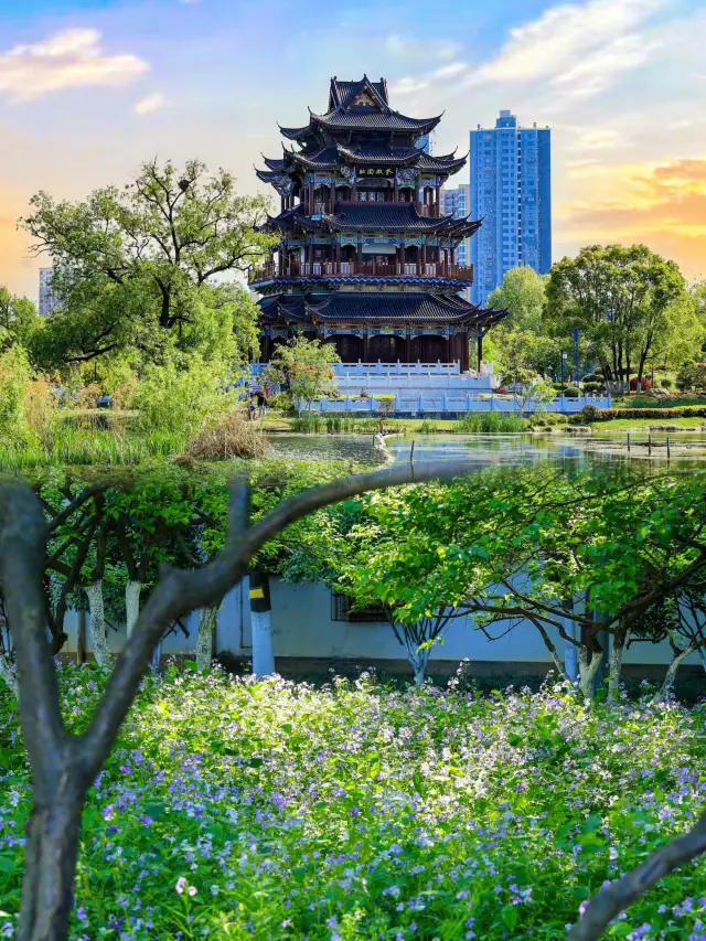 정말로 강남에 가지 않았습니다.