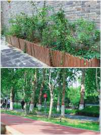 吉林賞荷花 | 3月，‌淨月潭國家森林公園的荷花來場約會