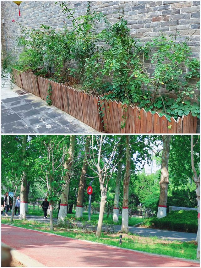 吉林賞荷花 | 3月，‌淨月潭國家森林公園的荷花來場約會