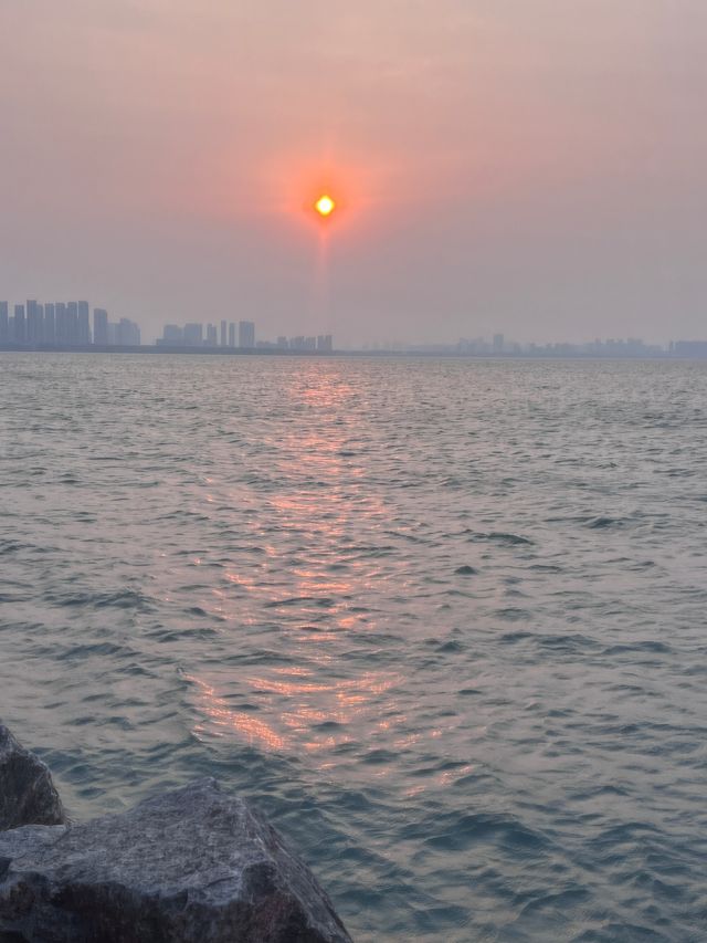 蘇州獨墅湖一日遊攻略 | 櫻花與日落交織的春日浪漫