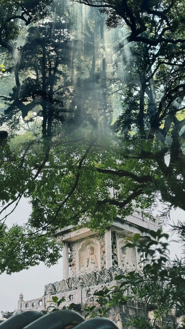 舟山普陀山