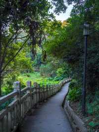 #尋蹤廣州潯峰山生態公園，邂逅自然之美