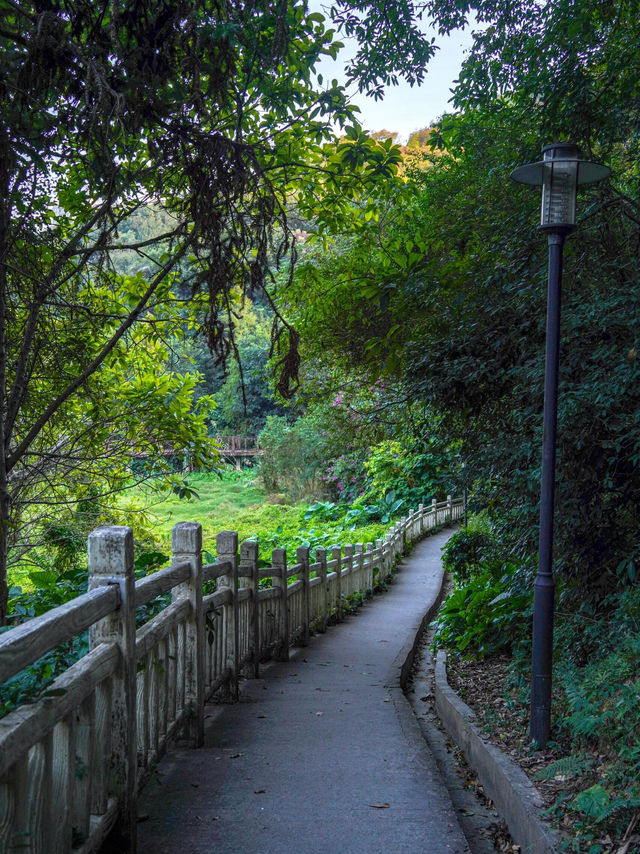 #尋蹤廣州潯峰山生態公園，邂逅自然之美