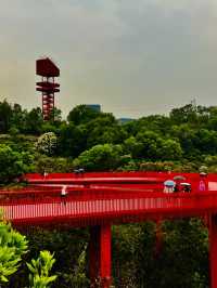 深圳最美的虹橋公園！！