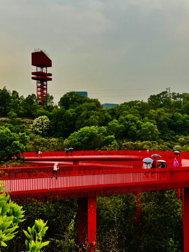 深圳最美的虹橋公園！！