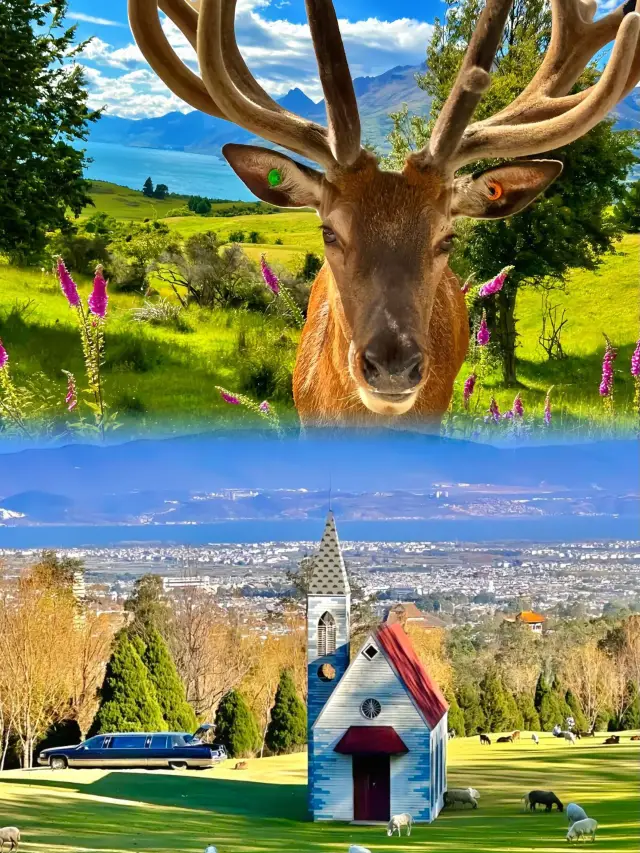 Switch to New Zealand Mode and Instantly Unwind