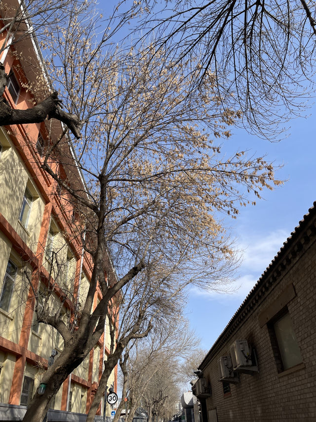 走進史家胡同，邂逅老北京風情