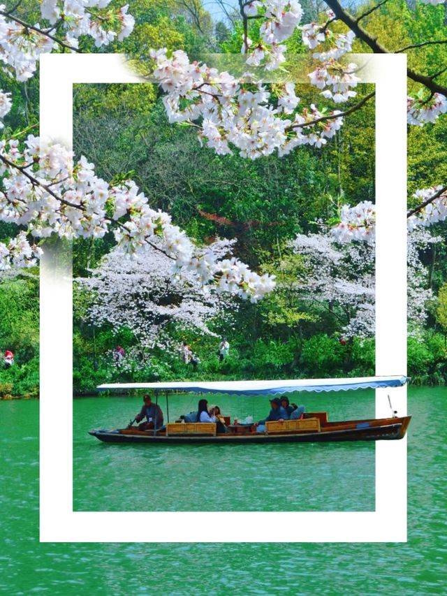 青綠山水重啟生命程序 | 杭州四月天私藏路線