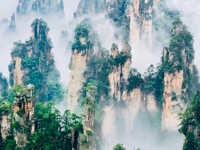 呢世人唔嚟一趟張家界，你會後悔嘅