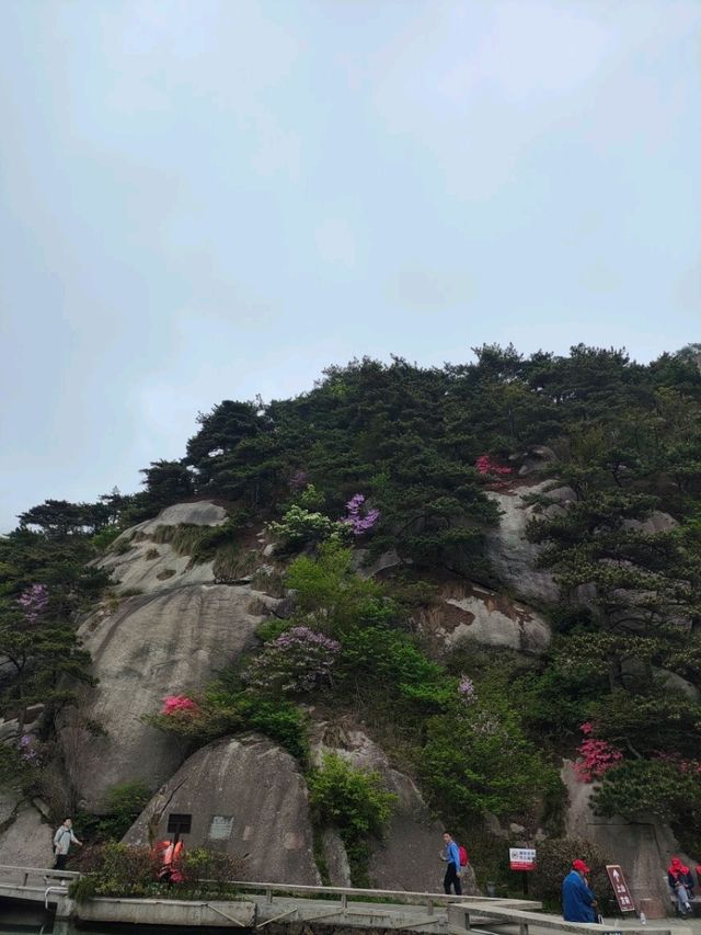 從朝天階到煉丹湖