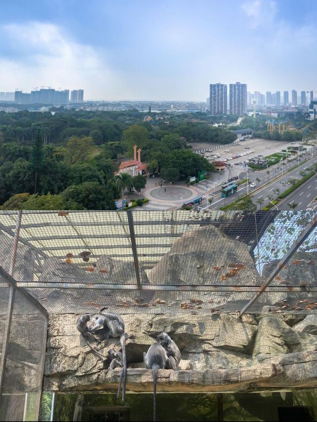 南寧書香門第，維也納等你嚟瞓