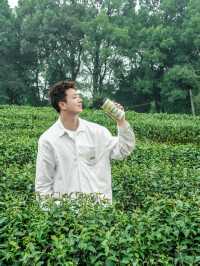 上春山重慶周邊春日採茶寶藏地！超治癒