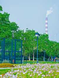 關於合肥春天嘅詩應該留喺大房郢體育公園