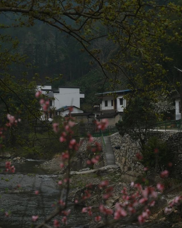 皖南秘境：單車環線中的詩畫村莊