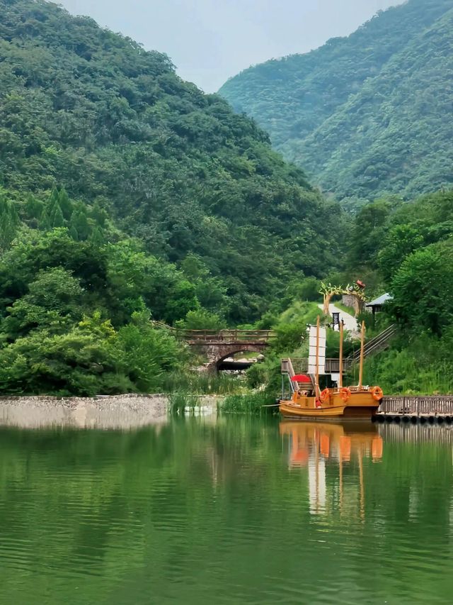鄭州1h直達闖入綠野秘境·親子玩水&萌寵