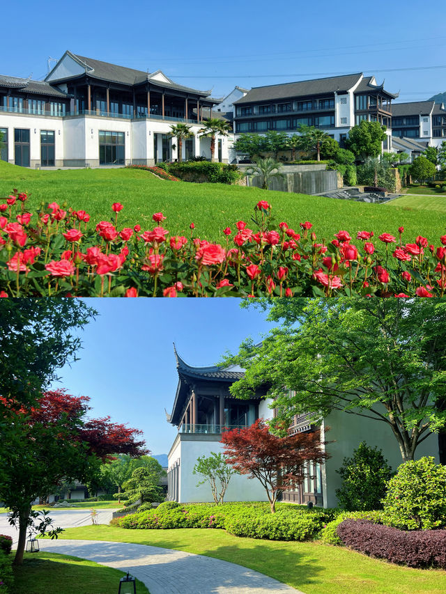 紹興寵物友善酒店天花板，私享山水秘境