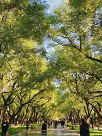 天壇紅黑榜｜睇完再去少行冤枉路