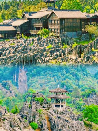 "In Yibin, I fulfilled my dream of being a swordsman in the bamboo forest and drinking like Li Bai!"
