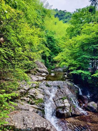 One Mountain, One Medicine King, One Scenery, One Legend – In-Depth Experience at Yaowang Mountain