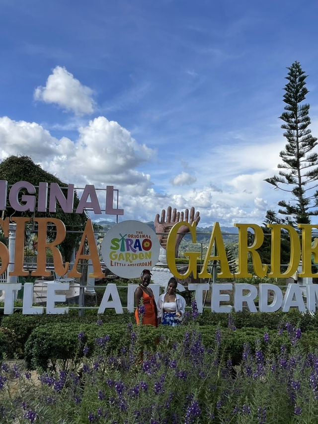 The beautiful  Sirao Gardens 