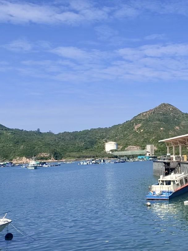 離塵不離城：南丫島索罟灣的漁村慢生活
