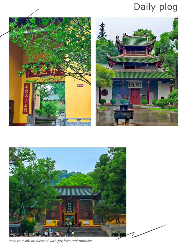 端午尋禪問道！香港高鐵3小時直達南華禪寺禮佛靜心之旅