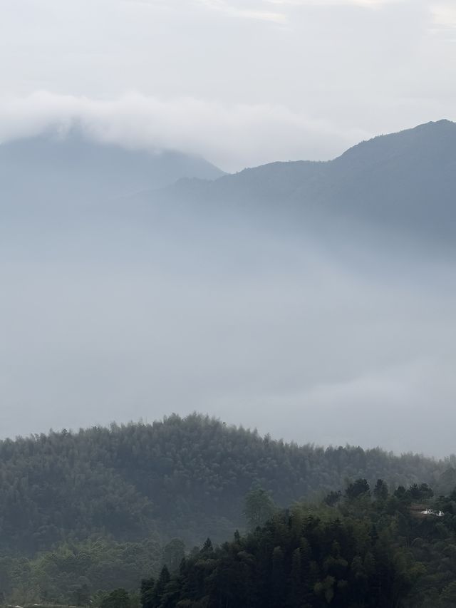 雲和梯田 —— 日出雲海 九曲雲環