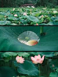 喺廈門，赴一場繁花之約 | 從錦江之星開始
