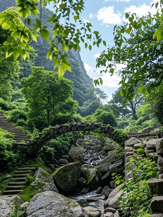 武夷山親子遊天花板！穿越千年茶香嘅奇幻秘境