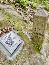 Free City Walk in Hong Kong From Central to Victoria Peak!
