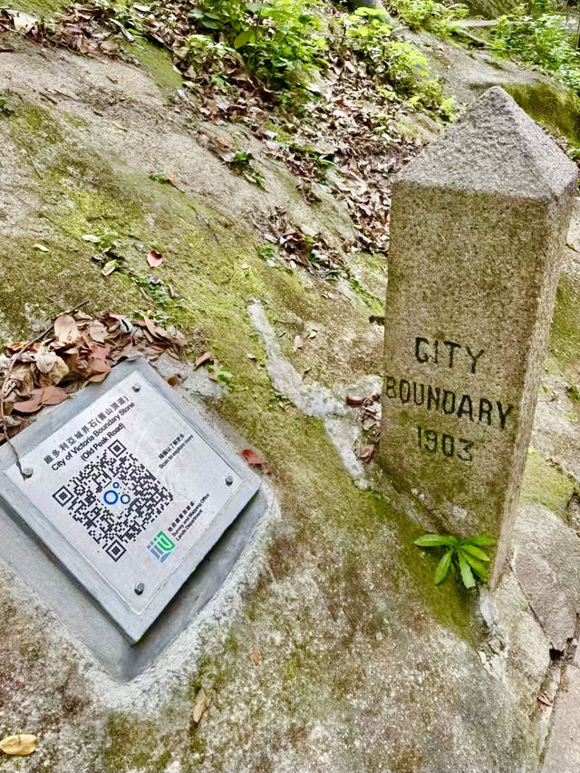 Free City Walk in Hong Kong From Central to Victoria Peak!