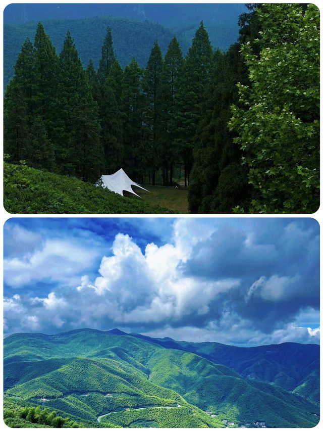 喺百年別墅聽風吟，喺田園牧場追光跑