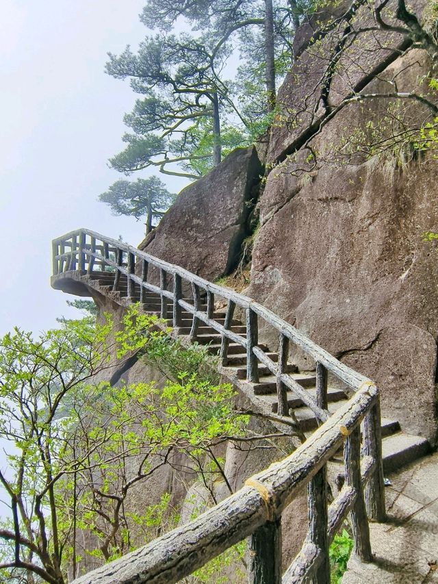 Majestic Huangshan on May Holiday 2025
