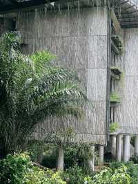萬態雨林悅榕莊