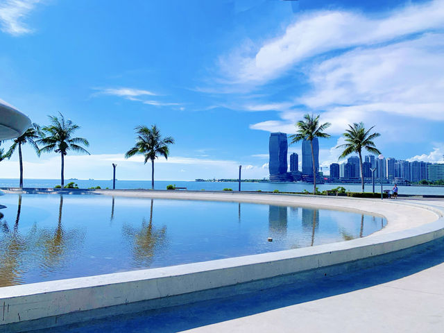五源河國家濕地公園，尋找孤獨的樹