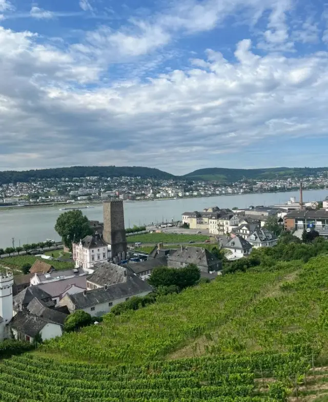 Rhine River Reverie: A 7-Day In-Depth Germany Travel Guide