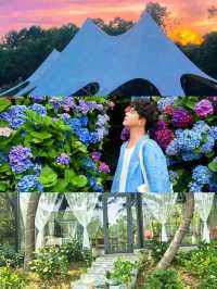 夏日嘅揚州，呢片松林同花海真係令人驚艷