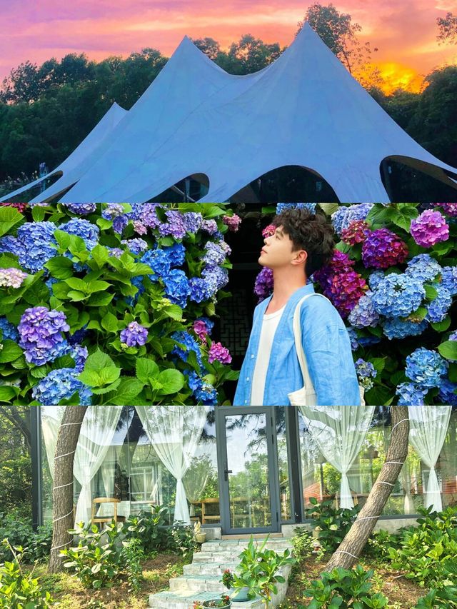 夏日嘅揚州，呢片松林同花海真係令人驚艷