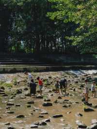 成都湊仔｜森林避暑、玩水、划槳板玩足一日