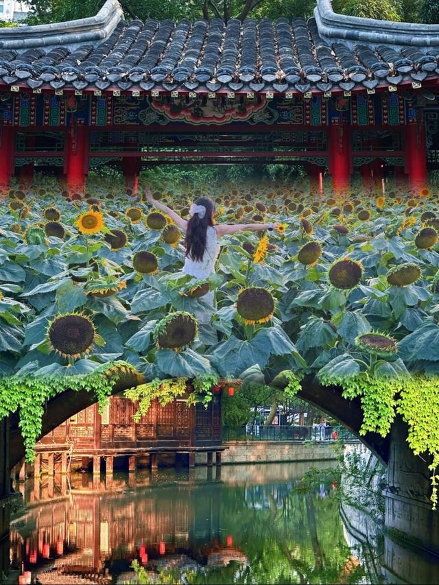 揚州慢，邂逅藏不住的心動與惬意