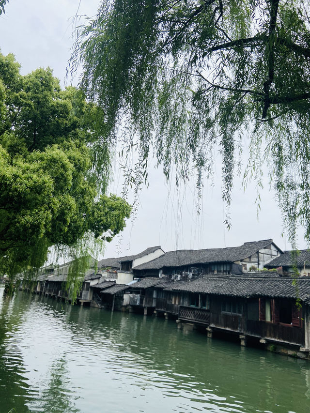 枕水江南，烏鎮的兩天一夜慢時光搖櫓船劃過石板橋，喚醒了一整個江南的溫柔  Day1：東柵漫步