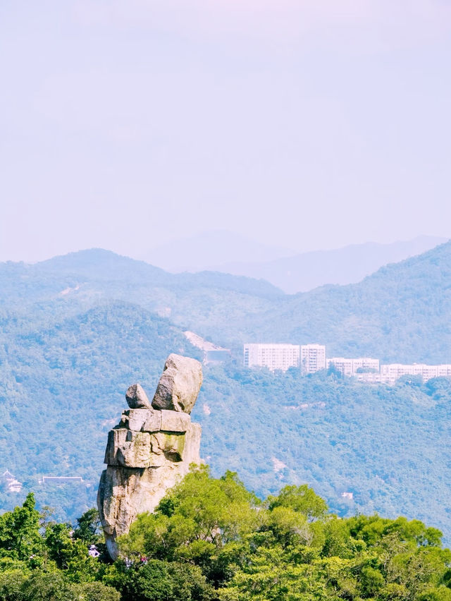 *【獅子山：香港の魂を感じる絶景ハイキング】**  