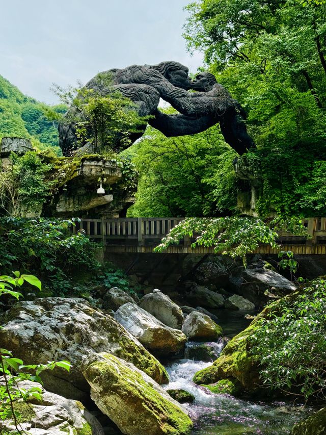 一定要嚟一次神農架！闖入北緯嘅綠野仙蹤