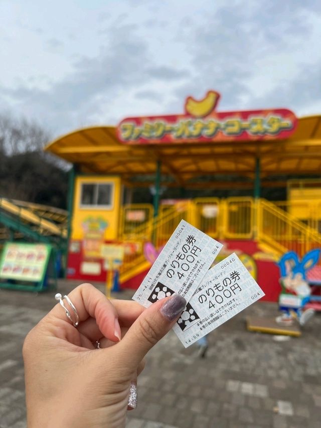 日本東京國營常陸海濱公園一日遊，賞花親子遊）🌼🎢  
