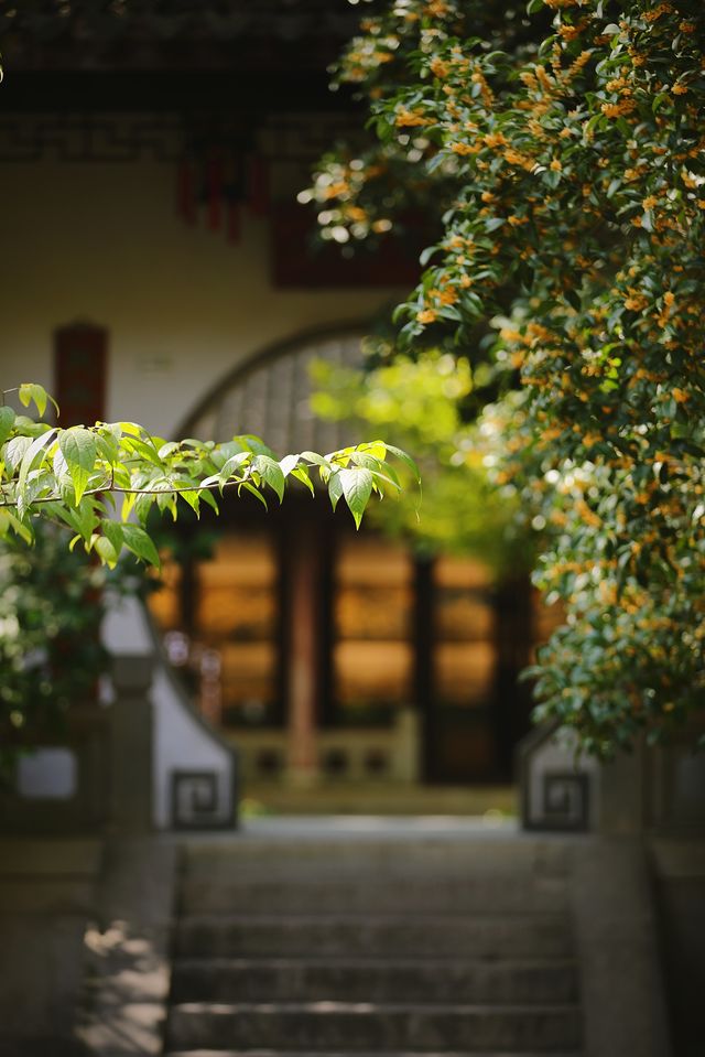 3日親歷5項非遺體驗，穿梭千年
