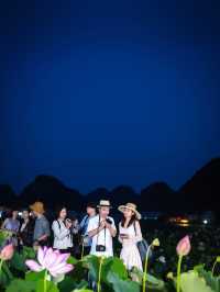 夏日普者黑：4萬畝荷花盛放的喀斯特仙境