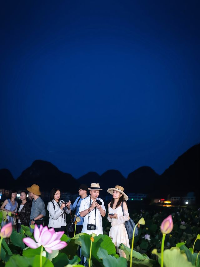 夏日普者黑：4萬畝荷花盛放的喀斯特仙境
