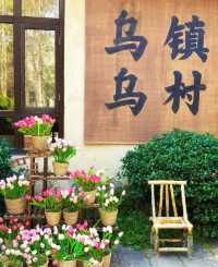 江浙滬遛娃度假天花板！+神仙度假酒店